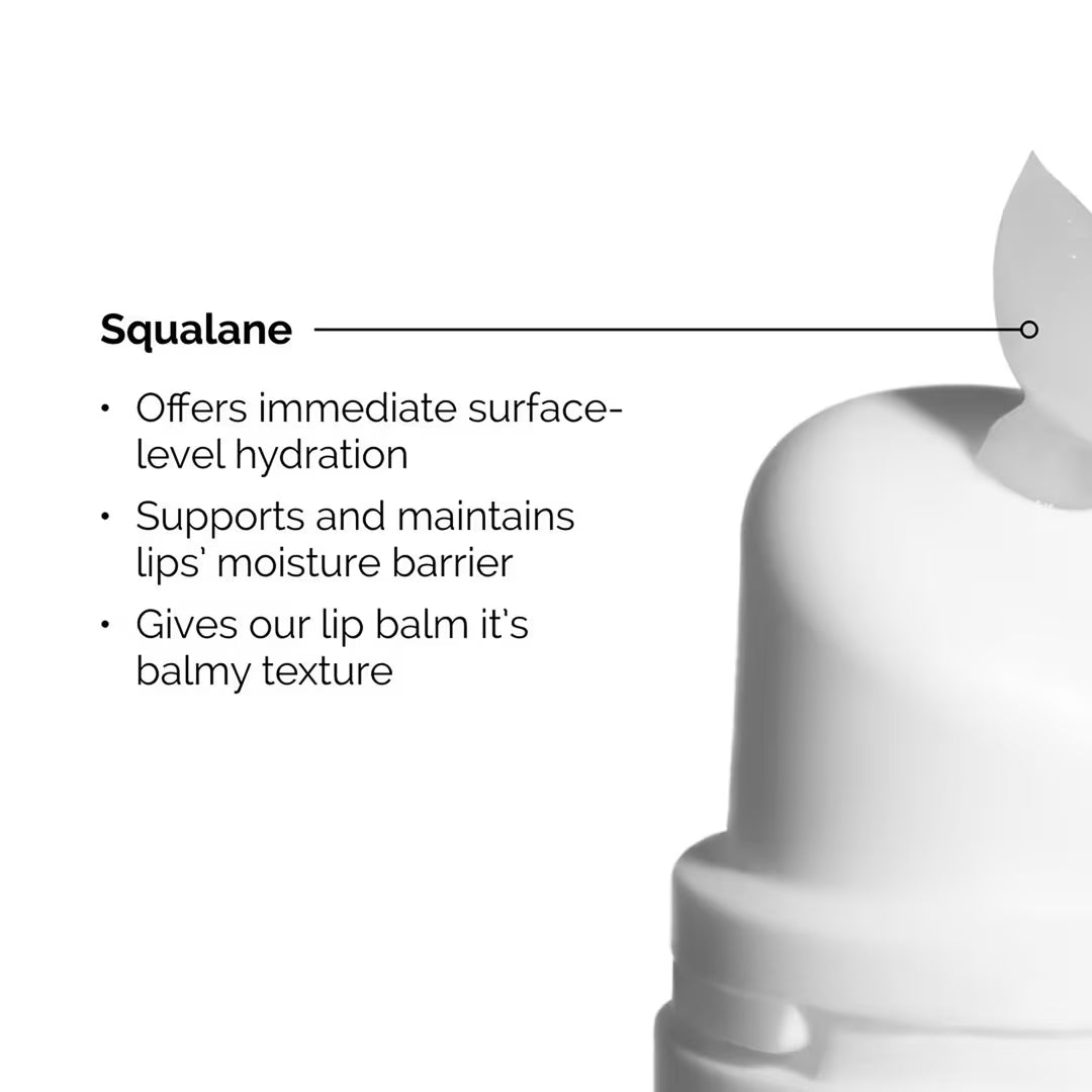 Squalane + Amino Acids Hydrating Lip Balm for Lips, Elbows, and Cuticles