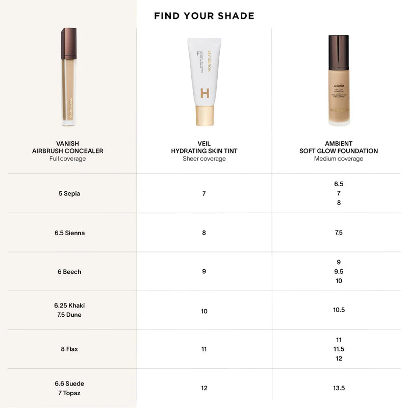 Vanish Airbrush Concealer