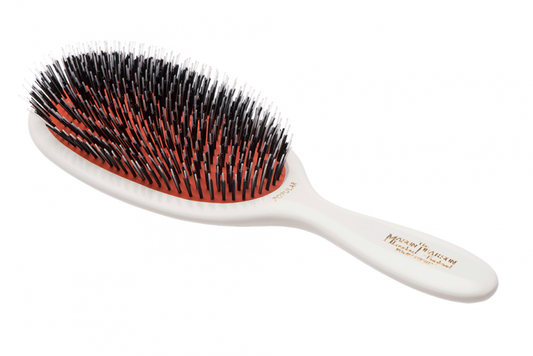 Popular Bristle & Nylon Hairbrush BN1