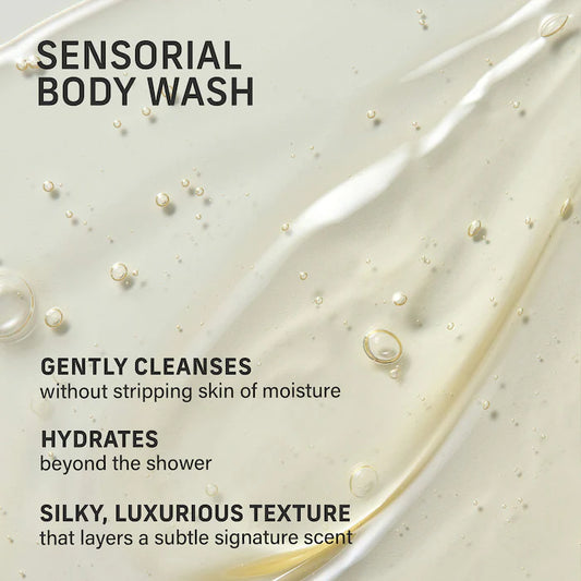 Vanilla Verve Body Essentials Gift Set