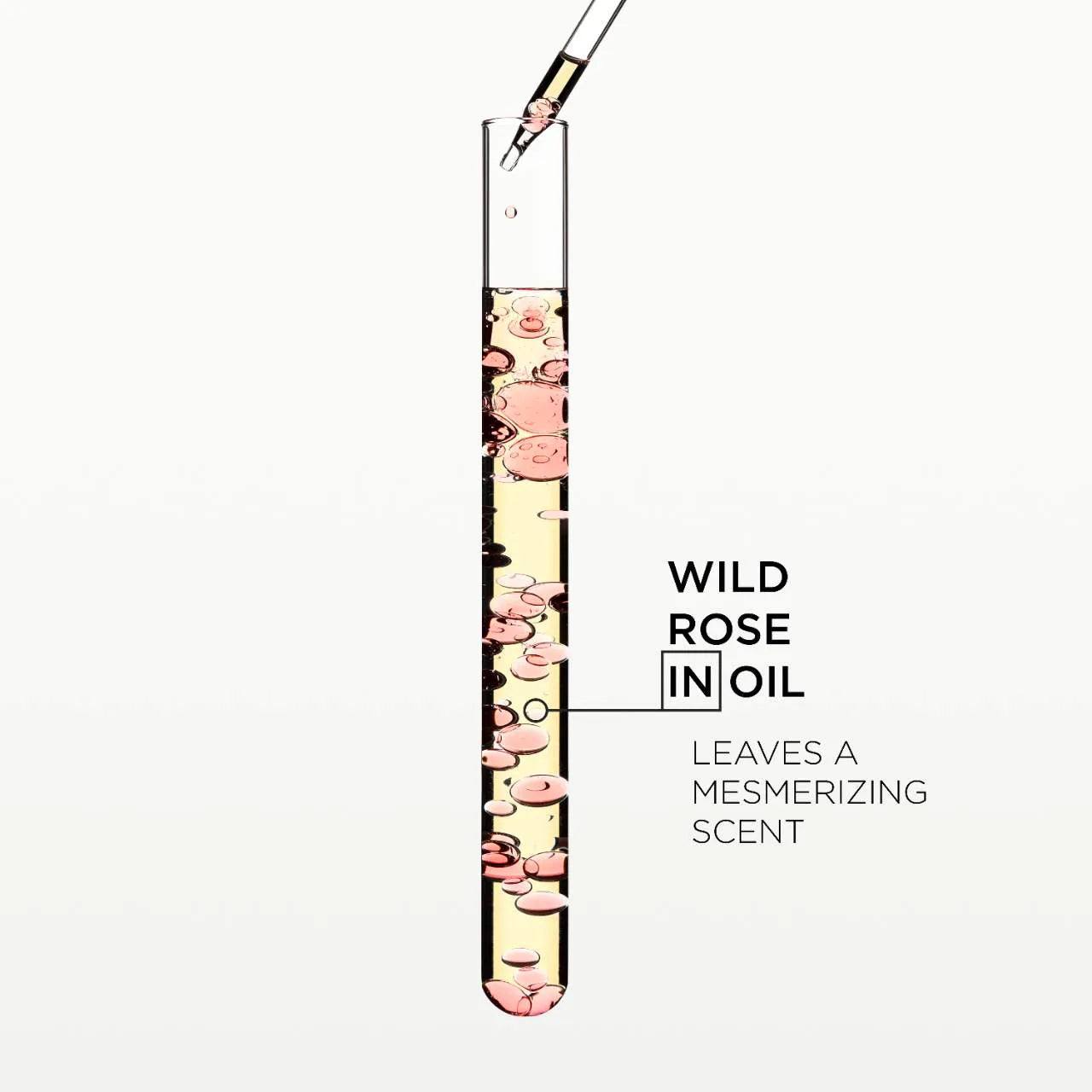 Gloss Absolu Glaze Drops Anti-Frizz Hair Oil