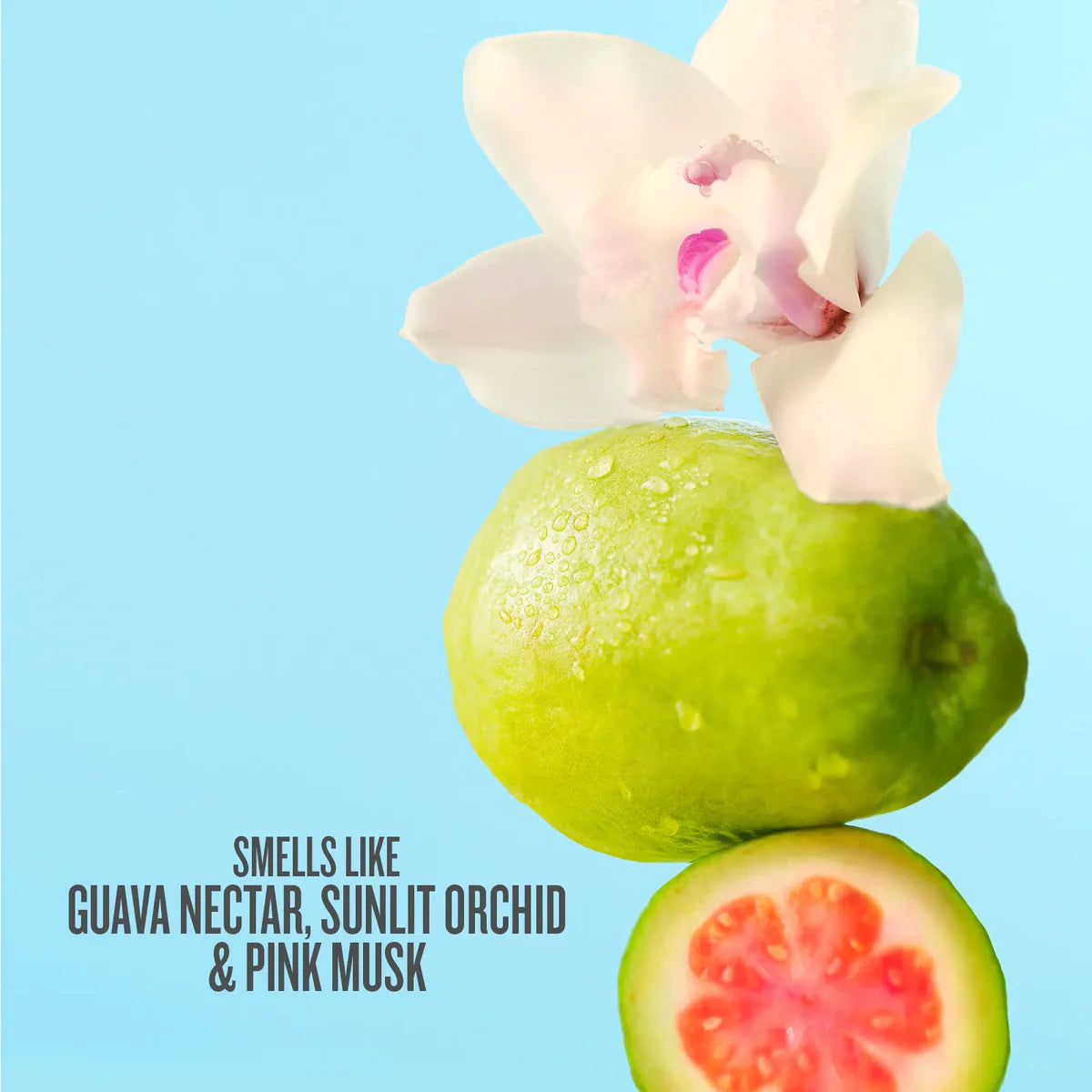 Cheirosa 48 Hair & Body Perfume Mist