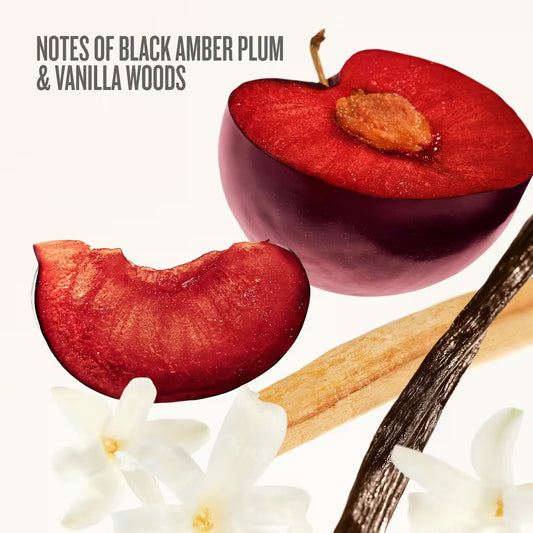 Bom Dia Bright Party of Two Duo Sampler Set