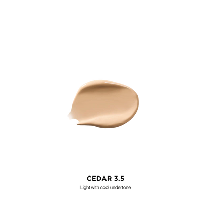 Vanish Airbrush Concealer