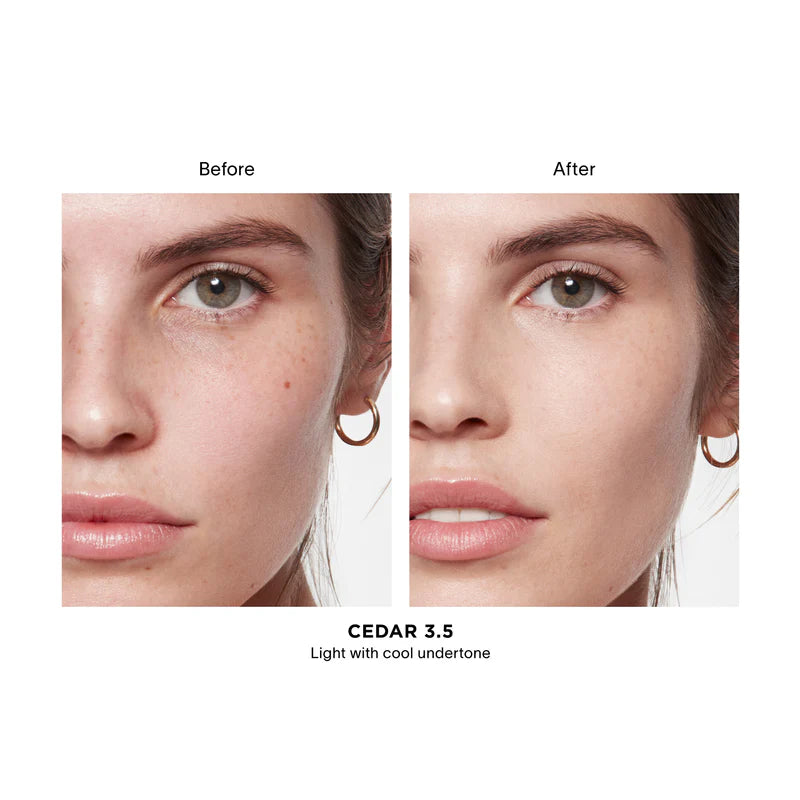 Vanish Airbrush Concealer