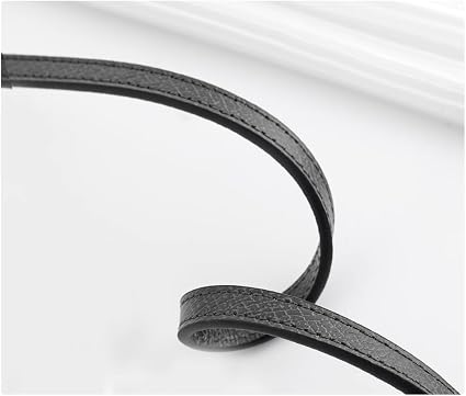 Strap LongChamp Mini