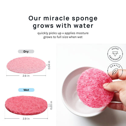 Studio 50-Count Compressed Facial Sponges
