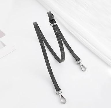 Strap LongChamp Mini