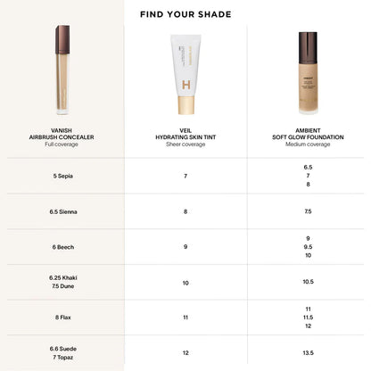 Vanish Airbrush Concealer