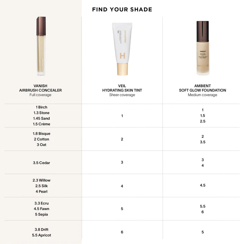 Vanish Airbrush Concealer