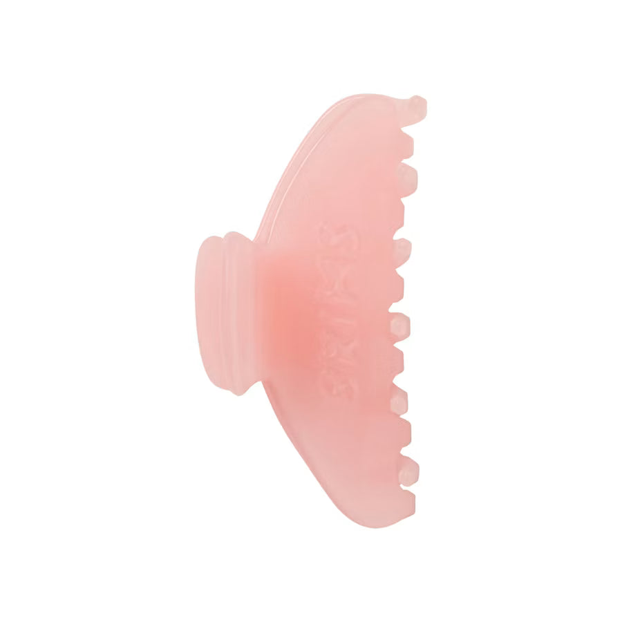 Claw Clip