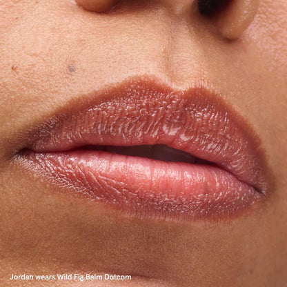 Balm Dotcom Lip Balm and Skin Salve