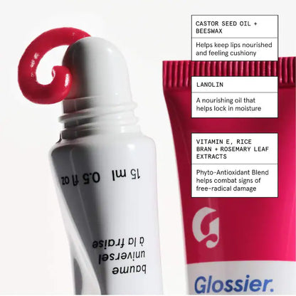 Balm Dotcom Lip Balm and Skin Salve