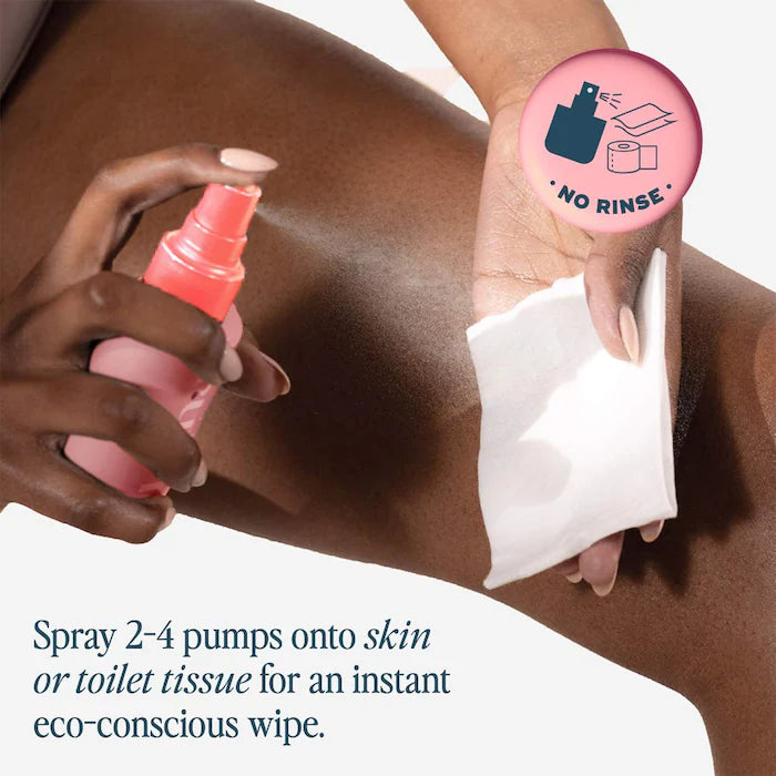 The Everywhere Spray-To-Wipe