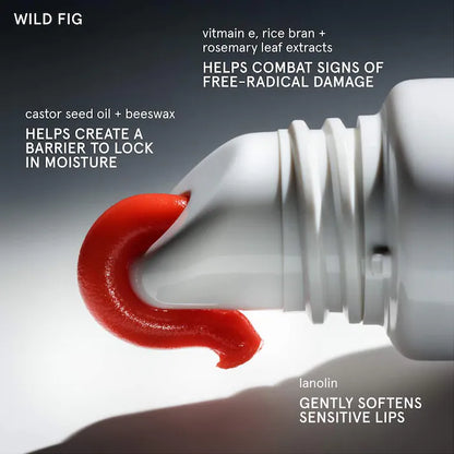 Balm Dotcom Lip Balm and Skin Salve