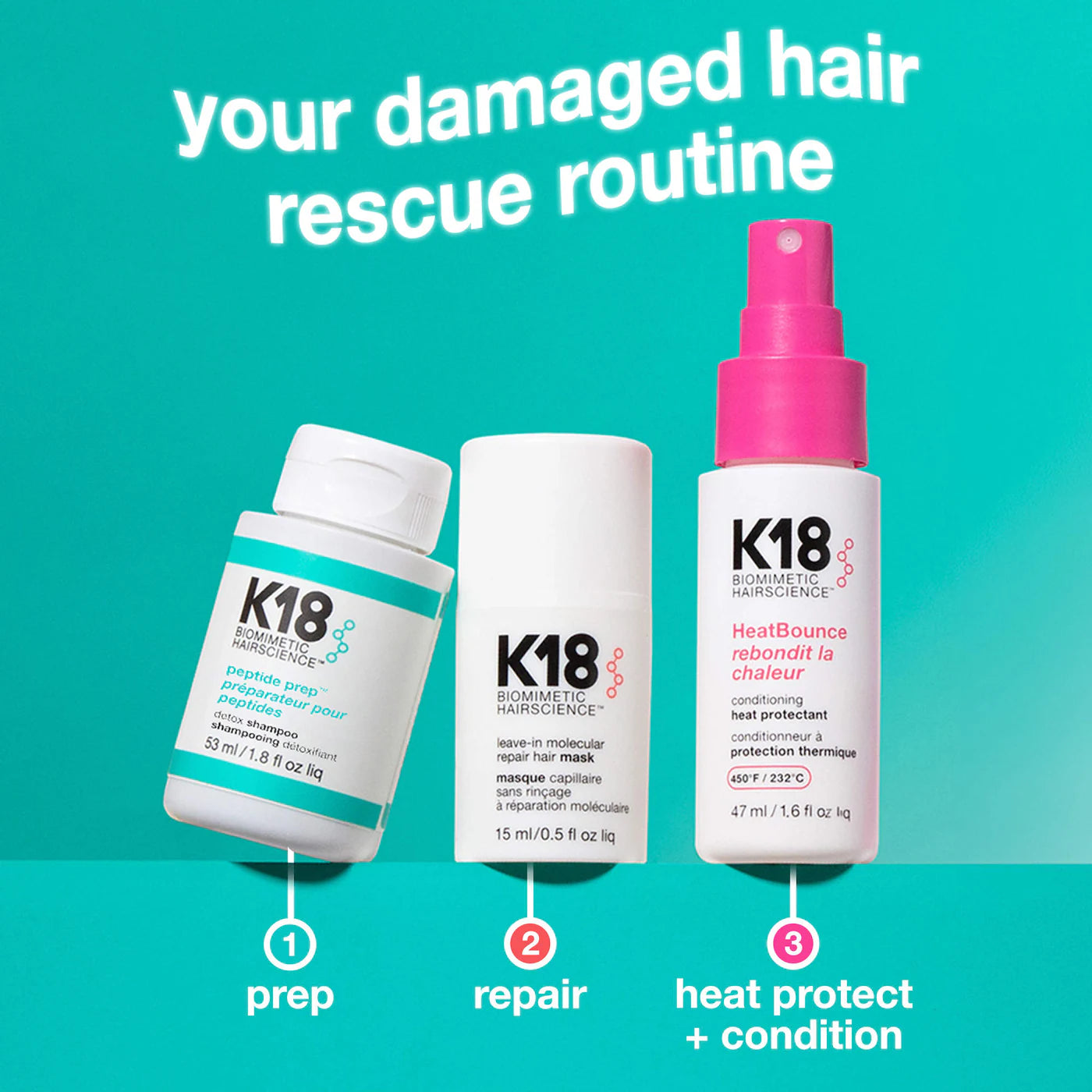 Damaged Hair Rescue Minis Gift Set