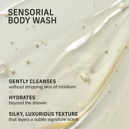 Vanilla Verve Body Essentials Gift Set