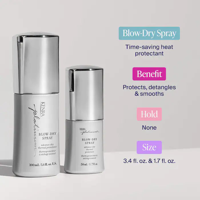 Blow-Dry Spray Gift Set for Frizz Control & Heat Protection